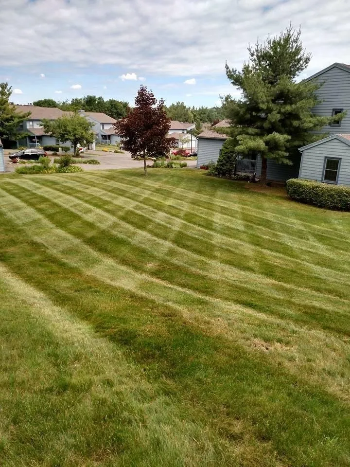 Custom garden landscaping for beautiful yards across Wallingford, CT - Oasis Lawn Care