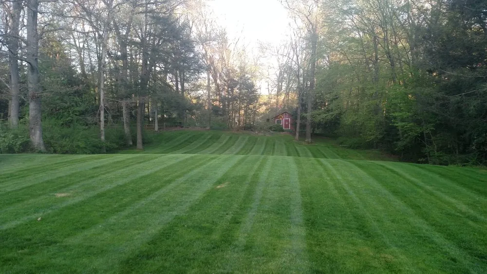 Local lawn mowing service experts serving Wallingford, CT - Oasis Lawn Care