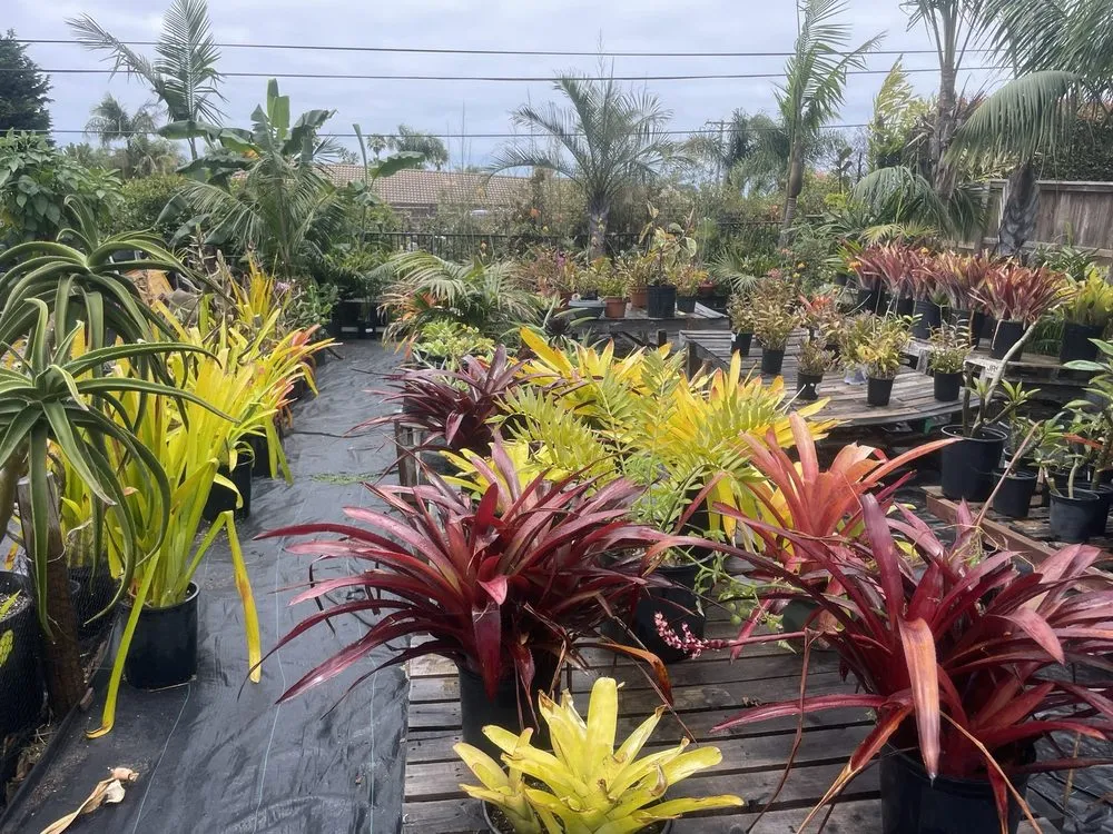 Trusted landscape installation in Carlsbad, CA by Oasis Nursery & Landscaping Inc