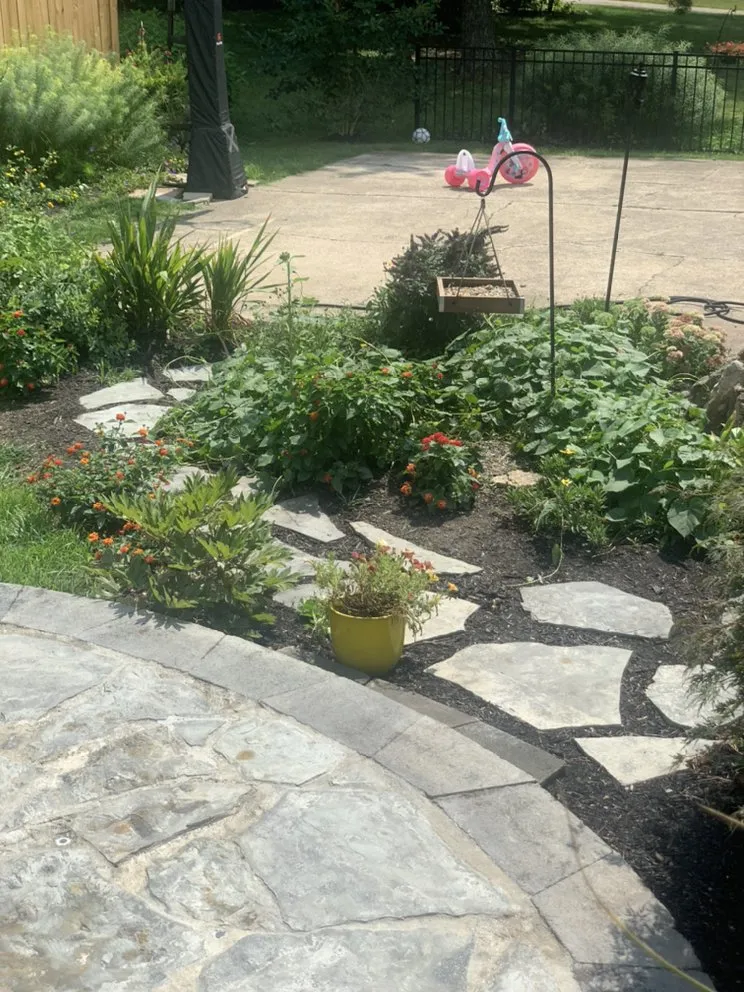 Affordable yard cleanup service for outdoor upgrades across Louisville, KY - Oasis Outdoor Living