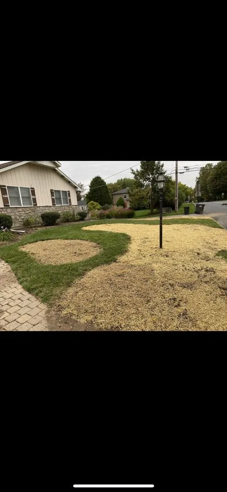 Trusted landscape installation in Collegeville, PA - Oasis Outdoor Solutions