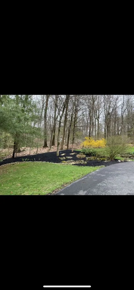 Reliable yard cleanup service for outdoor upgrades in Collegeville, PA by Oasis Outdoor Solutions