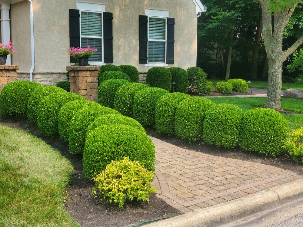 Reliable landscape design for beautiful yards across Delaware, OH - Oasis Outdoor Solutions