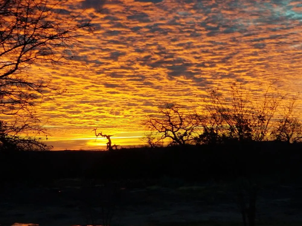Local landscape installation in Marble Falls, TX - Oasis Pest Control
