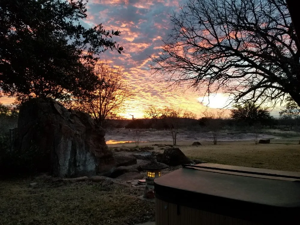 Custom yard cleanup service in Marble Falls, TX - Oasis Pest Control