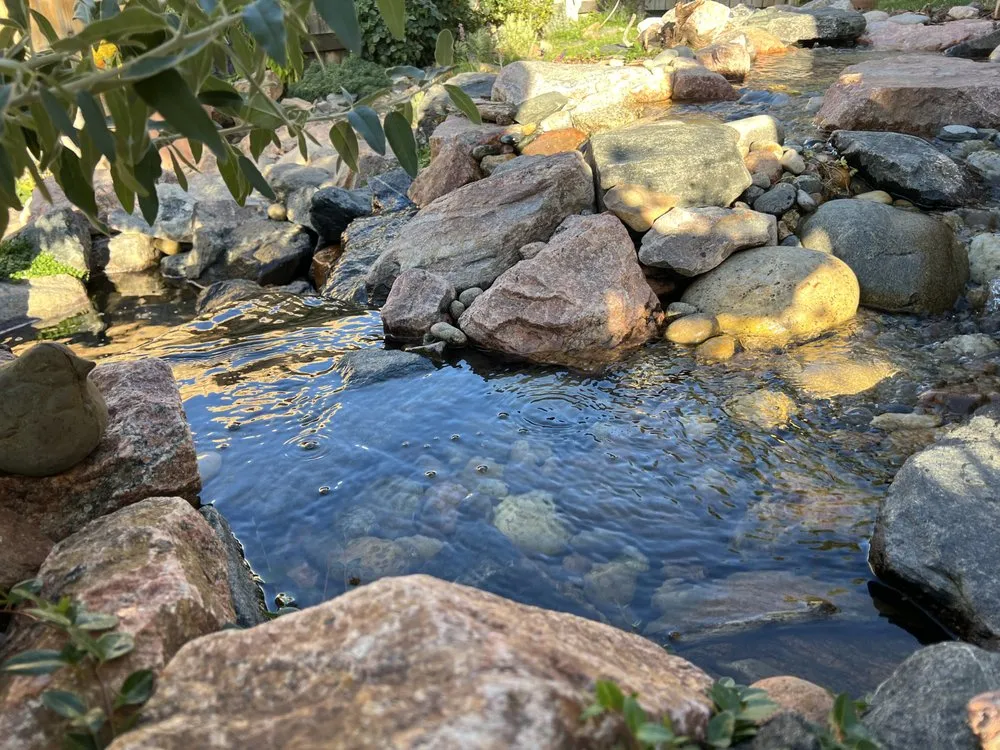 Trusted lawn care service in Colorado Springs, CO - Oasis Pond and Gardens