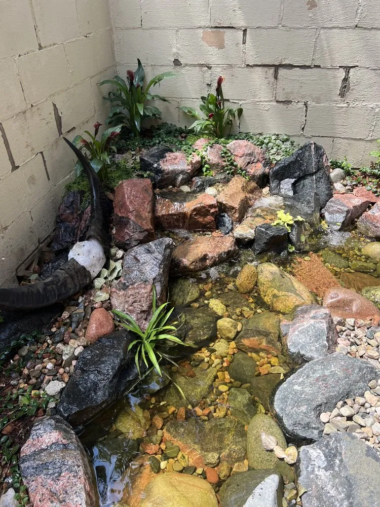 Expert yard cleanup service with custom design across Colorado Springs, CO - Oasis Pond and Gardens