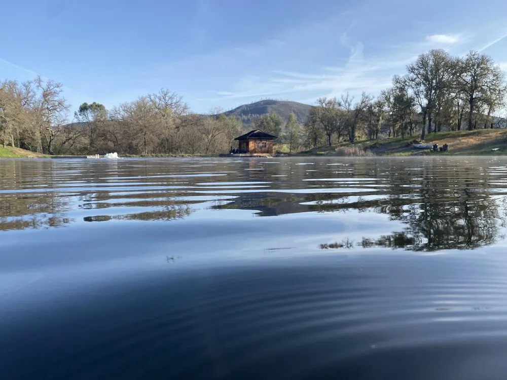 Expert outdoor landscaping in Foothill Farms, CA - Oasis Pond Care