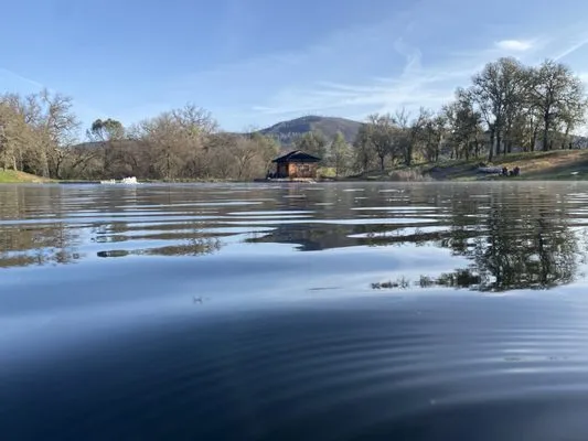 Oasis Pond Care Logo