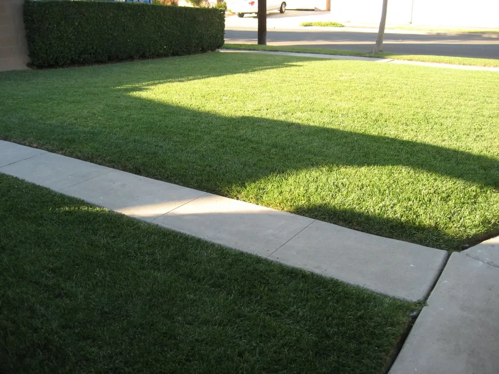 Affordable lawn care service for year-round maintenance in West Palm Beach, FL by Oasis Property M&M