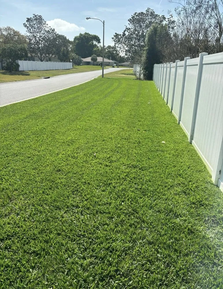 Local yard cleanup service for homes in West Palm Beach, FL by Oasis Property M&M