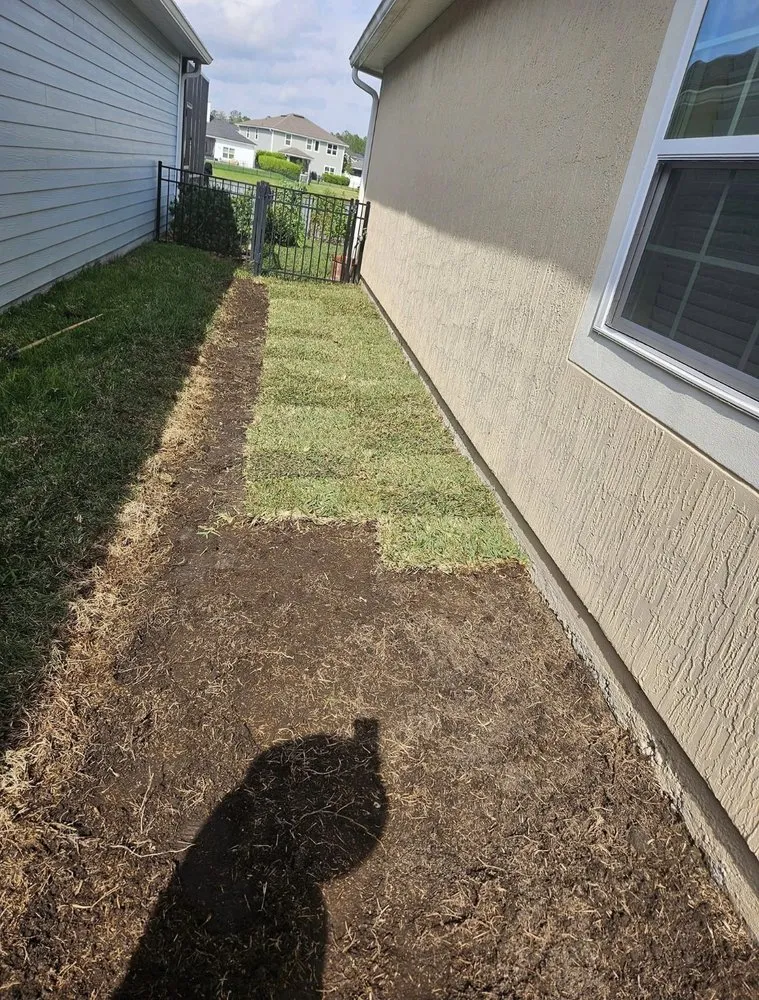 Custom landscape design for residential properties in West Palm Beach, FL by Oasis Property M&M