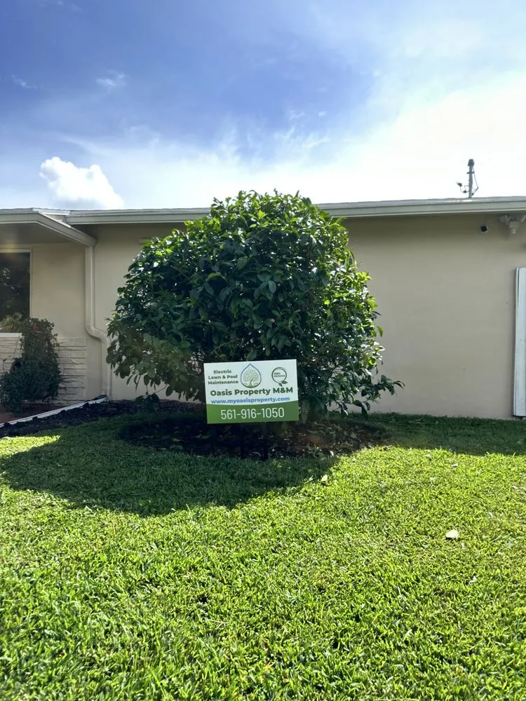 Top-rated yard cleanup service in West Palm Beach, FL - Oasis Property M&M