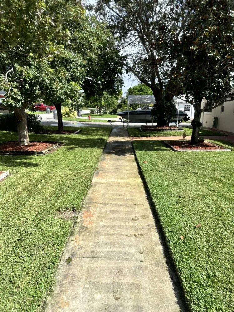 Expert lawn care service for outdoor upgrades in West Palm Beach, FL by Oasis Property M&M