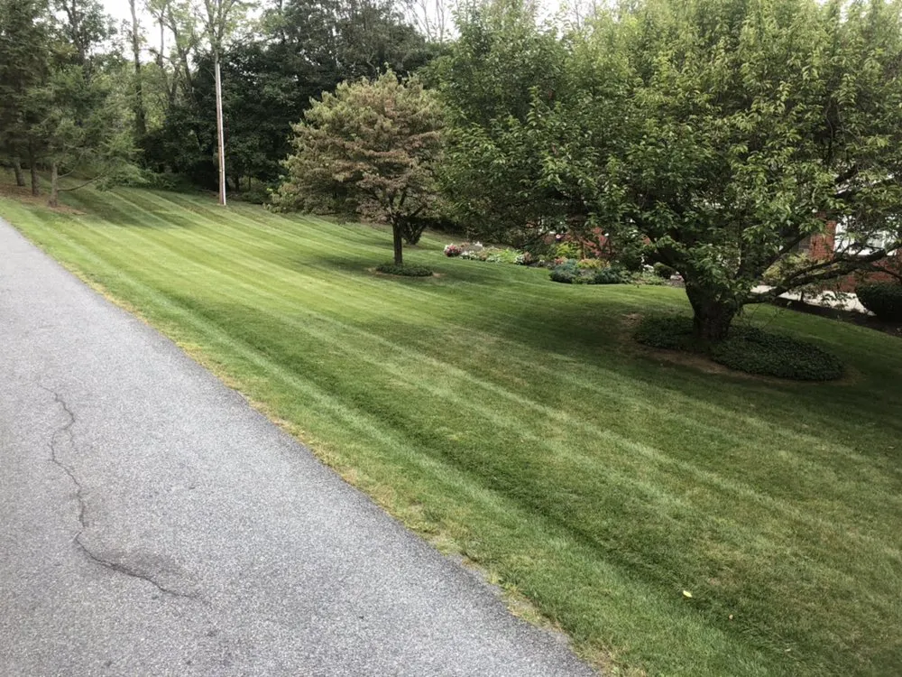 Custom lawn mowing service with custom design in Allentown, PA by Oasis Property Services