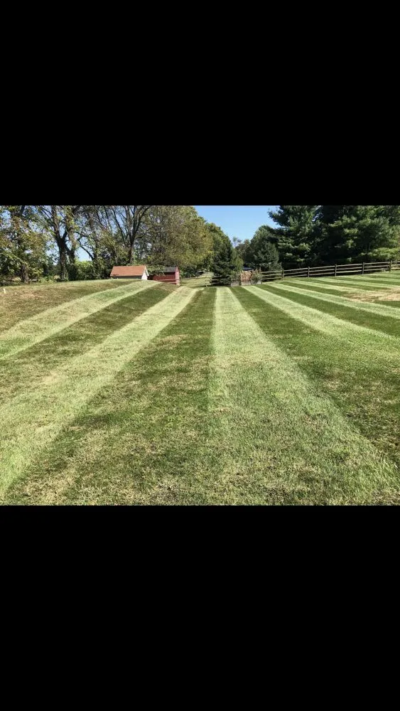 Reliable yard cleanup service for outdoor upgrades across Allentown, PA - Oasis Property Services