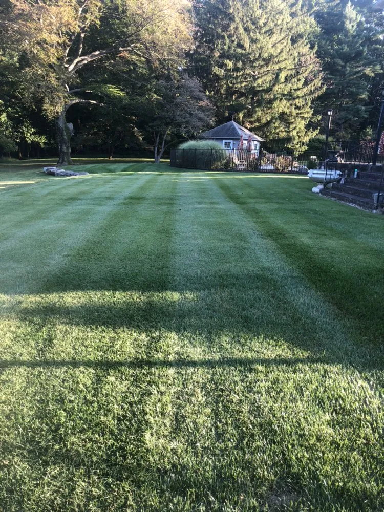 Affordable residential landscaping for year-round maintenance in Allentown, PA by Oasis Property Services