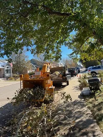 Professional outdoor landscaping in Windsor, CO - Oasis Tree & Landscaping Services