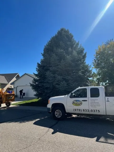 Affordable landscape design experts serving Windsor, CO - Oasis Tree & Landscaping Services