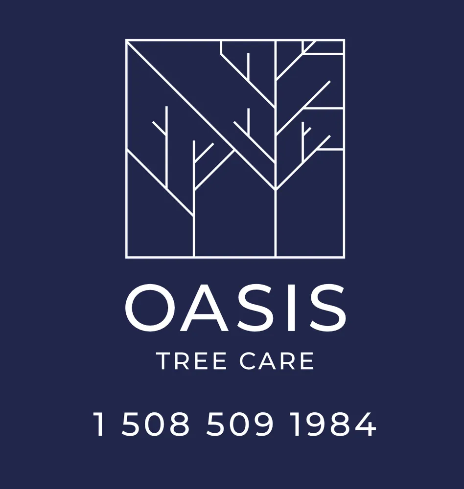 Professional garden landscaping in Dartmouth, MA - Oasis Tree Care