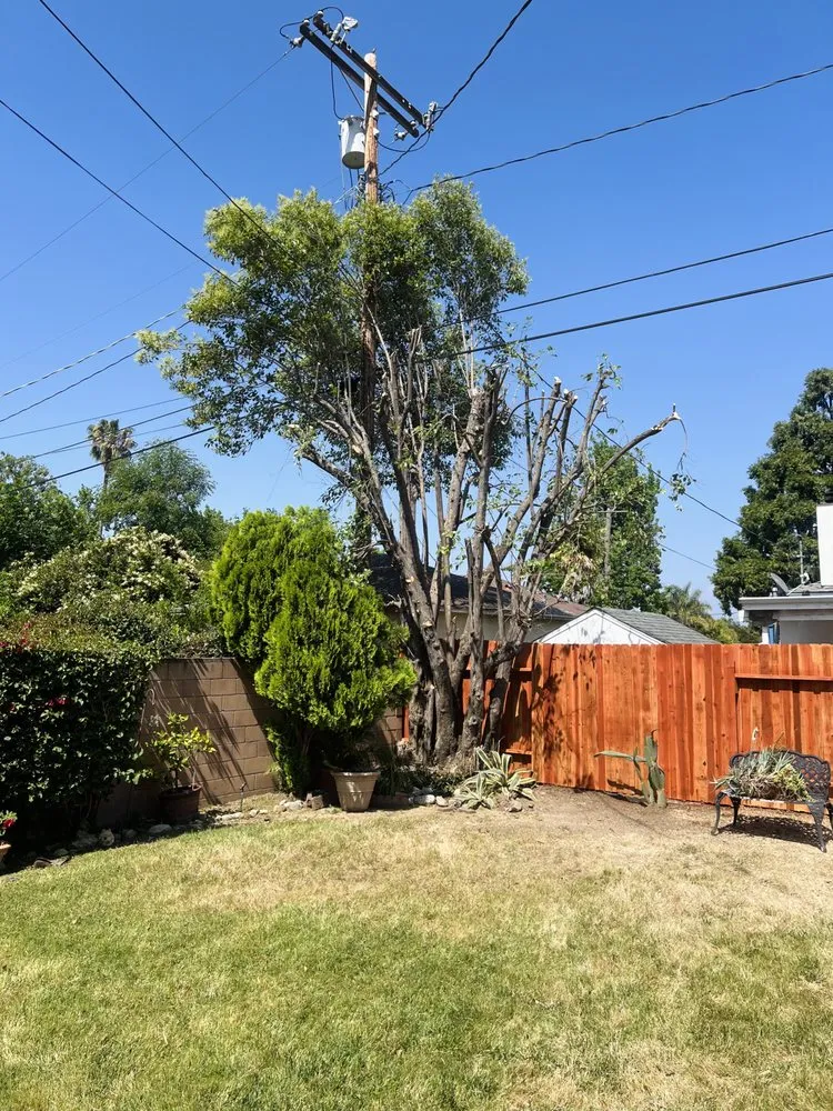 Professional lawn mowing service in Los Angeles, CA by Oasis Tree Service