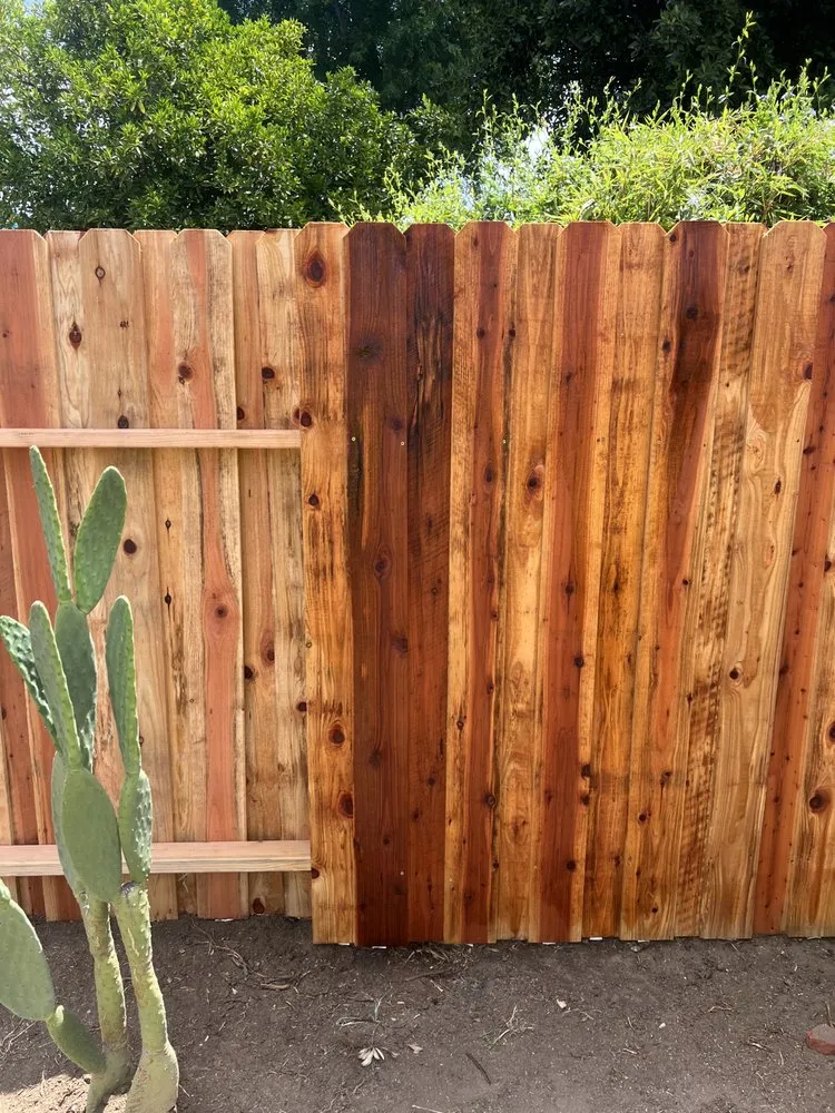 Trusted landscaping services in Los Angeles, CA - Oasis Tree Service