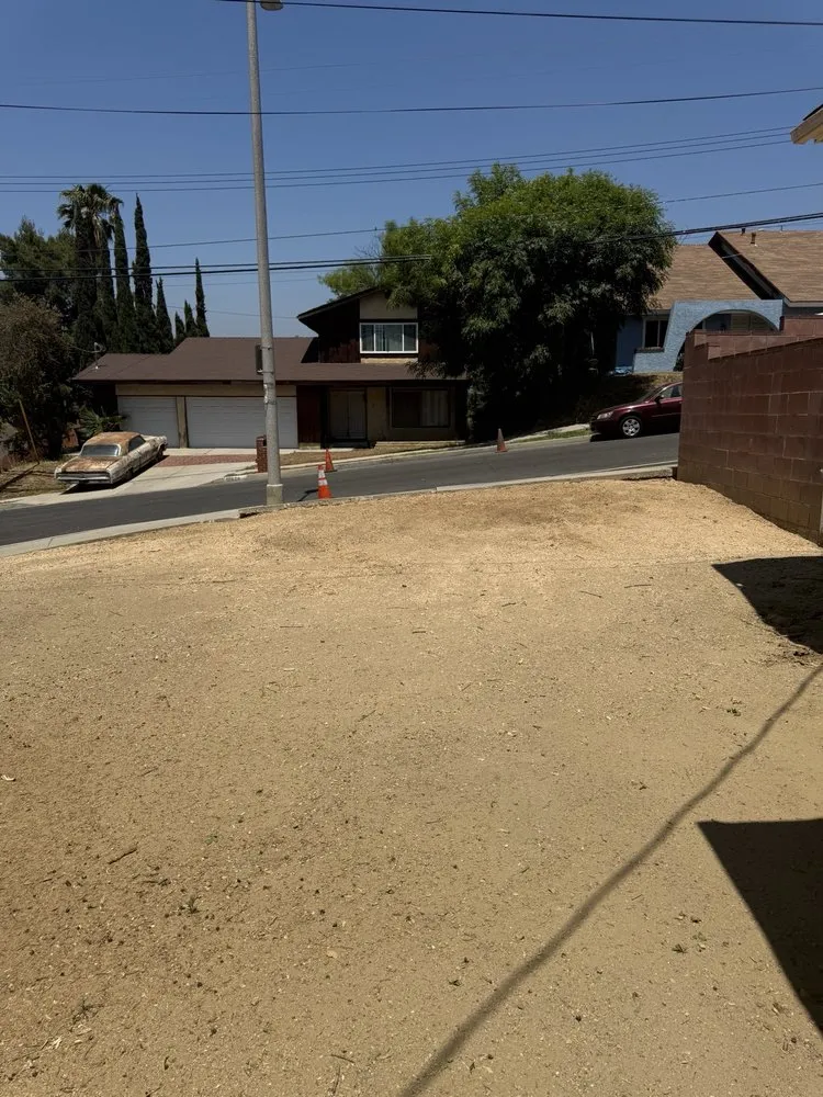 Trusted yard maintenance in Los Angeles, CA - Oasis Tree Service