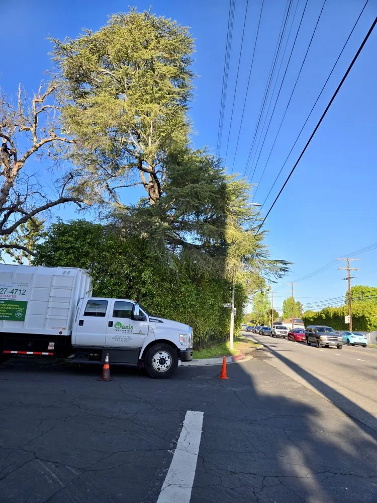 Affordable lawn care service for residential properties across Los Angeles, CA - Oasis Tree Service