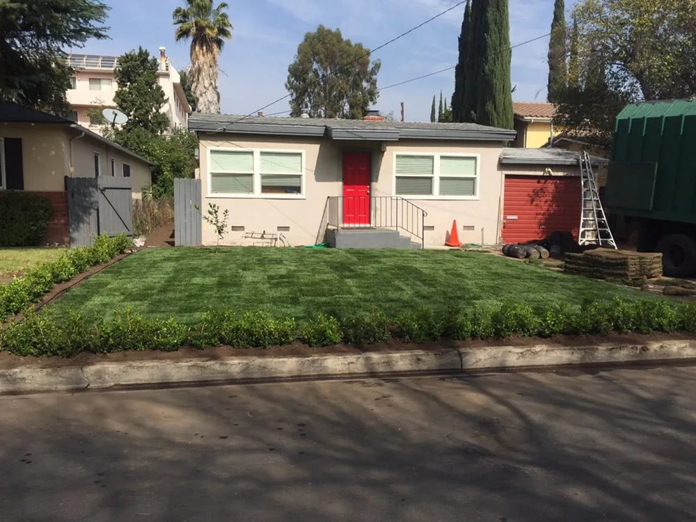 Expert lawn care service in Los Angeles, CA - Oasis Tree Service