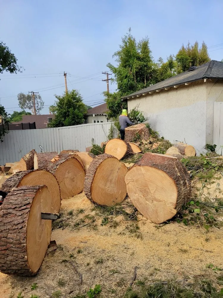 Professional lawn mowing service in Los Angeles, CA - Oasis Tree Service