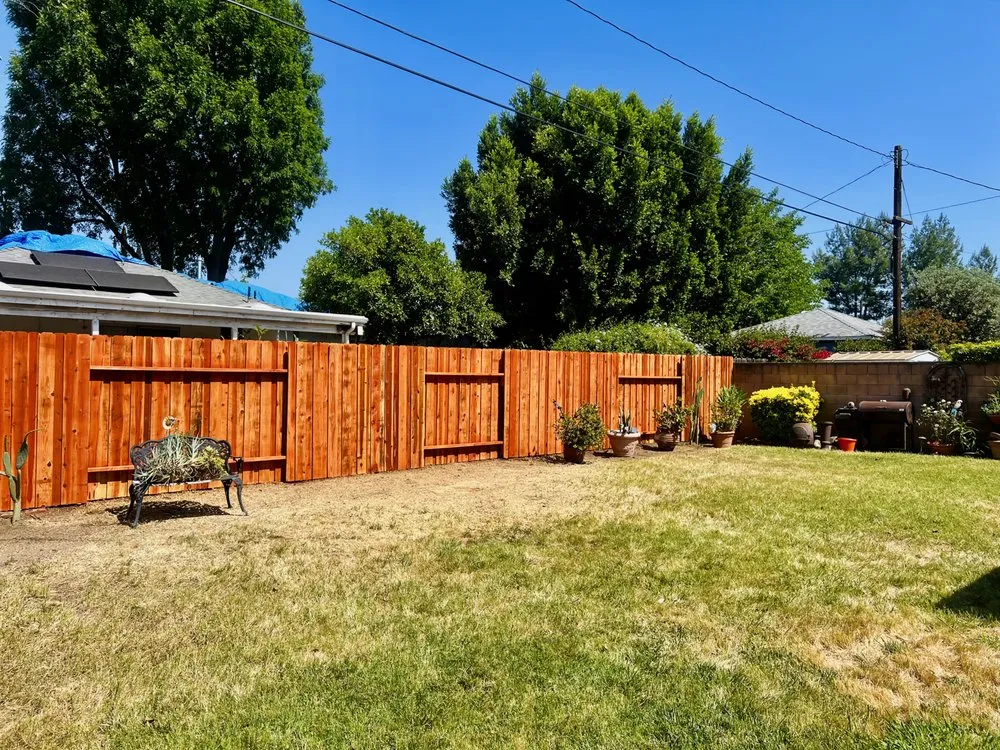 Top-rated lawn care service experts serving Los Angeles, CA - Oasis Tree Service