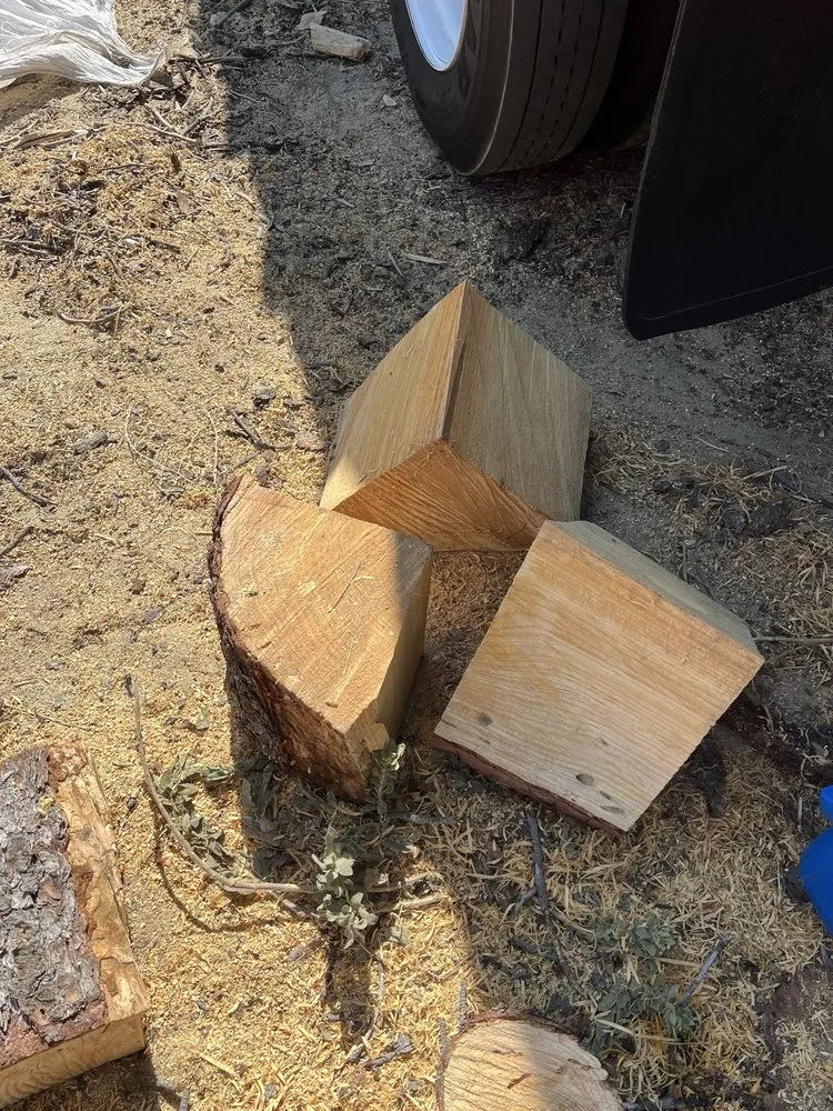 Affordable lawn mowing service for homes across Los Angeles, CA - Oasis Tree Service