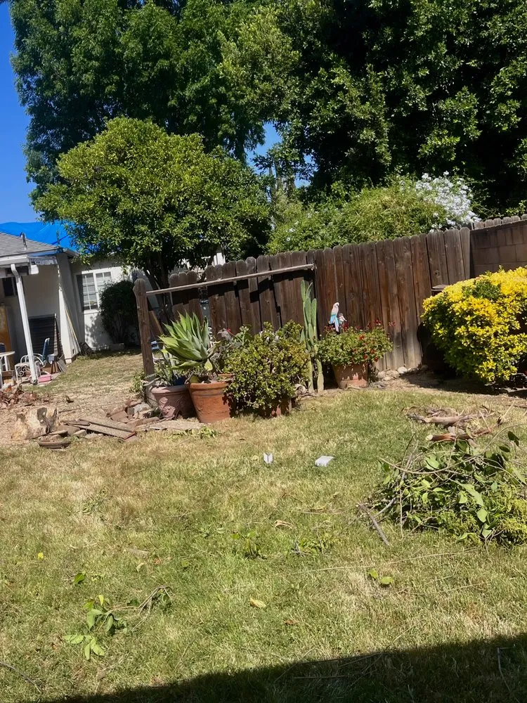 Expert landscaping services in Los Angeles, CA by Oasis Tree Service