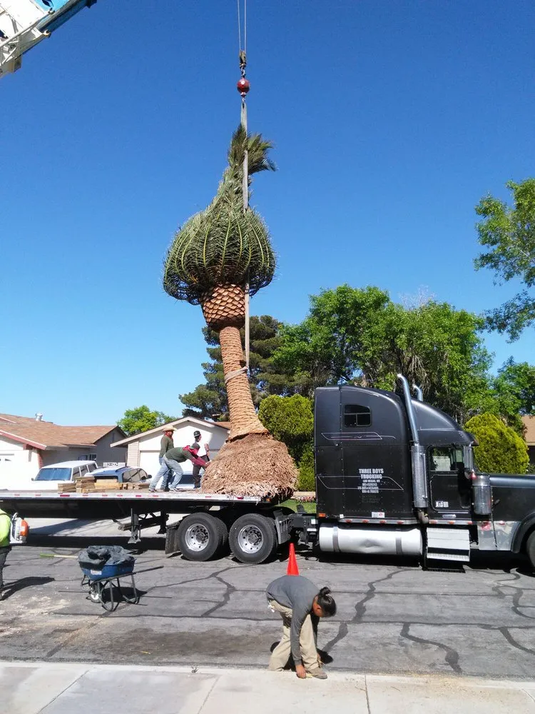 Expert lawn mowing service experts serving Las Vegas, NV - Oasis Trees Group