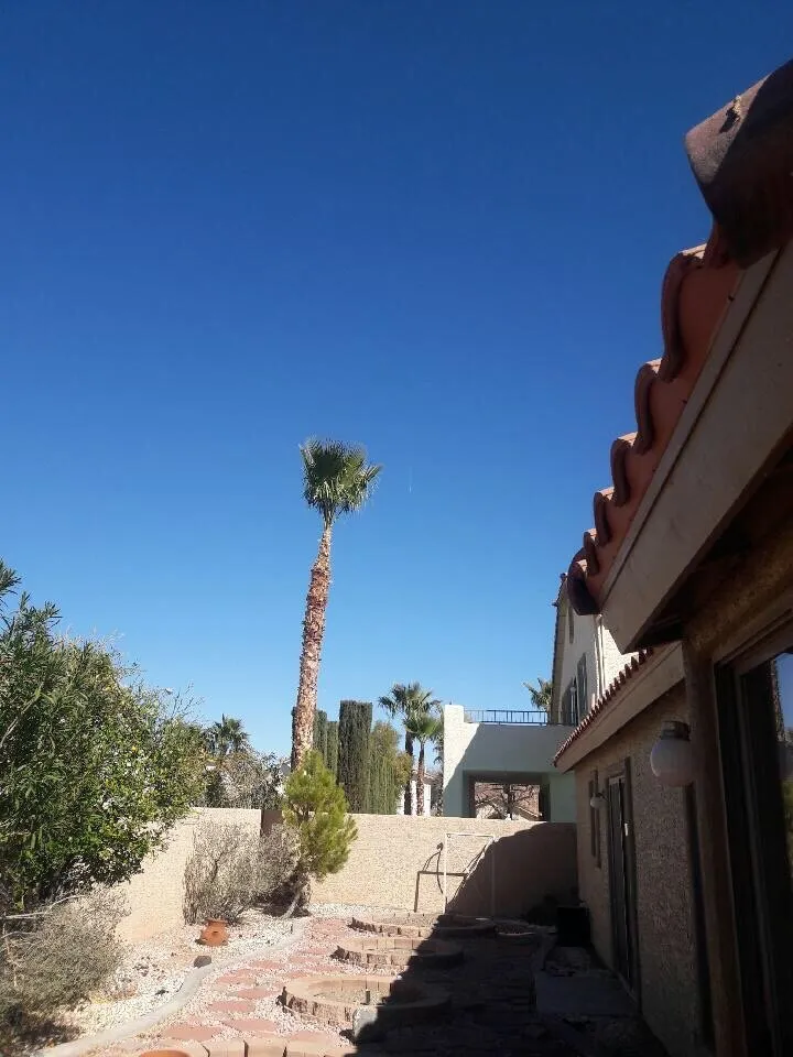 Affordable garden landscaping experts serving Las Vegas, NV - Oasis Trees Group