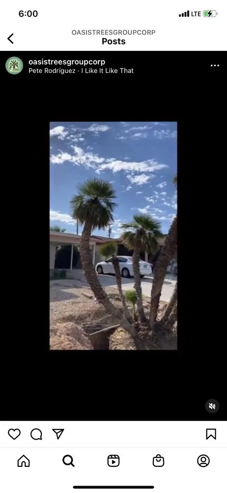 Top-rated lawn mowing service experts serving Las Vegas, NV - Oasis Trees Group