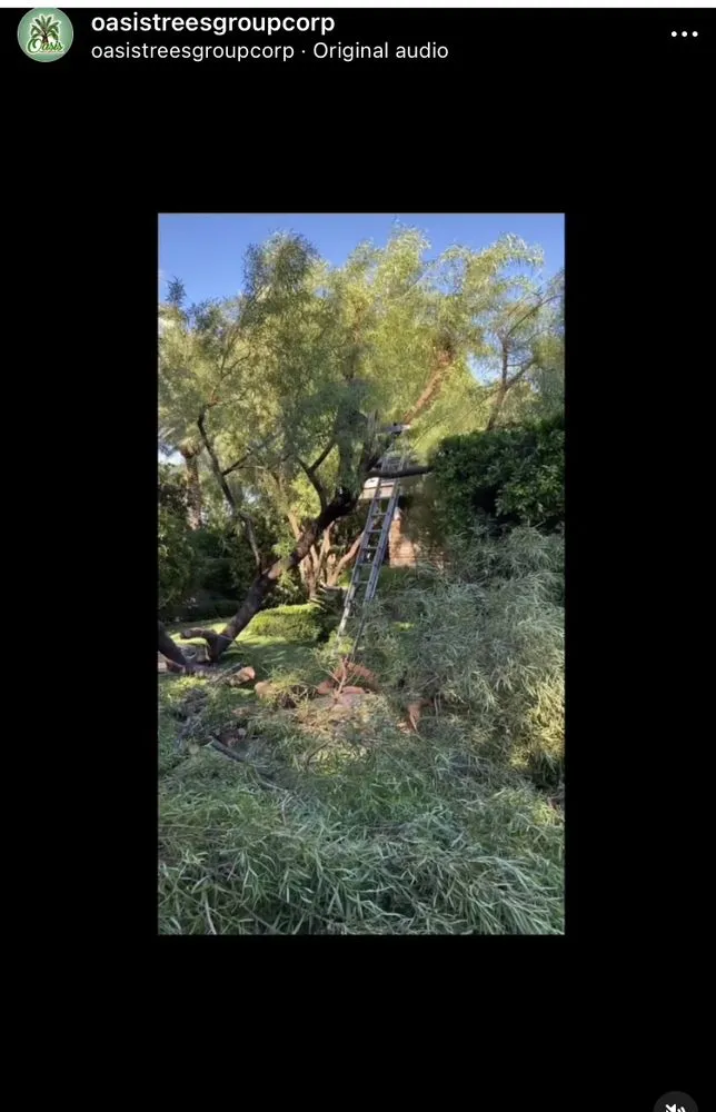 Affordable garden landscaping near you across Las Vegas, NV - Oasis Trees Group