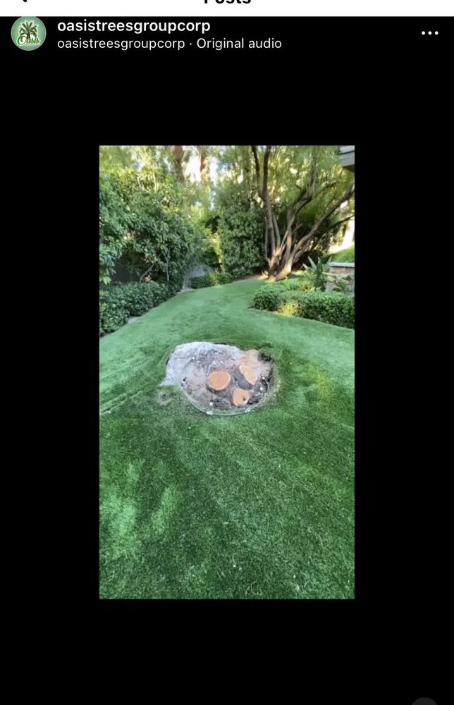 Custom lawn mowing service in Las Vegas, NV by Oasis Trees Group