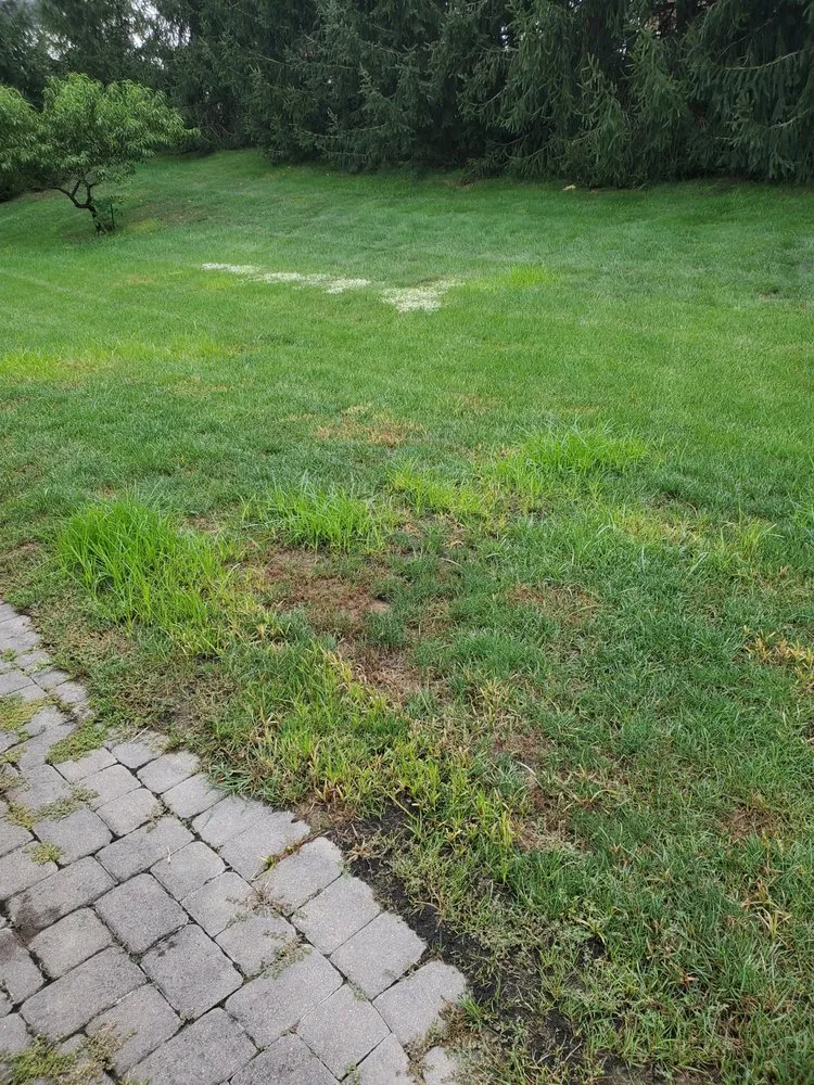 Professional landscape installation in Loveland, OH - Oasis Turf & Tree