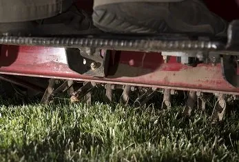 Trusted residential landscaping for beautiful yards in Loveland, OH by Oasis Turf & Tree