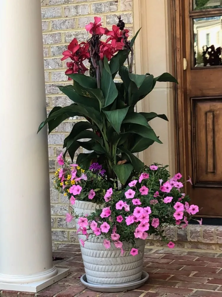 Reliable residential landscaping in Silver Spring, MD - Oasis Urban Gardening