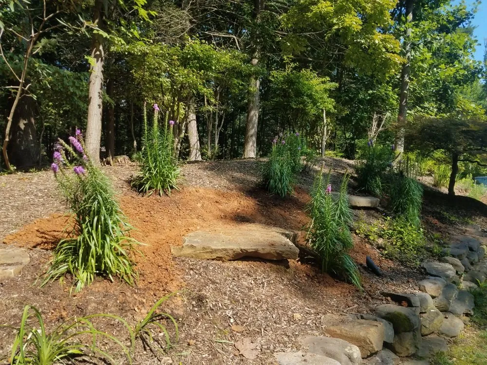 Professional lawn mowing service for residential properties across Silver Spring, MD - Oasis Urban Gardening