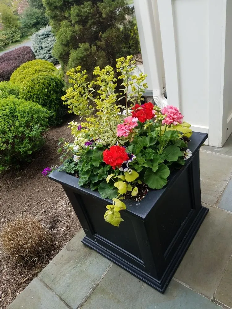 Top-rated yard cleanup service experts serving Silver Spring, MD - Oasis Urban Gardening