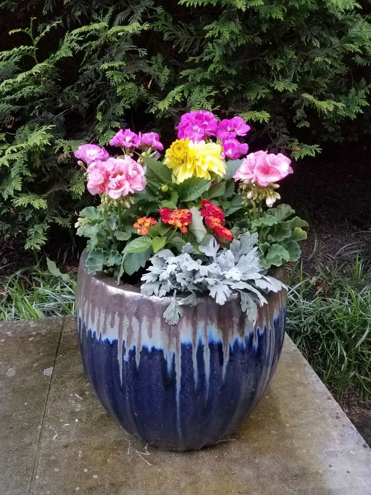 Trusted landscaping services with custom design across Silver Spring, MD - Oasis Urban Gardening