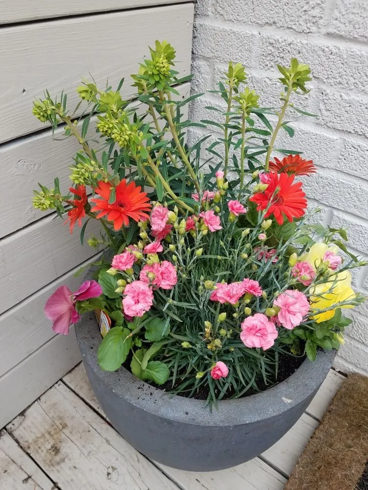 Reliable residential landscaping in Silver Spring, MD - Oasis Urban Gardening