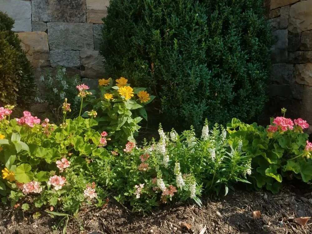 Expert lawn mowing service in Silver Spring, MD - Oasis Urban Gardening