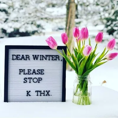 Oasis Urban Gardening Logo