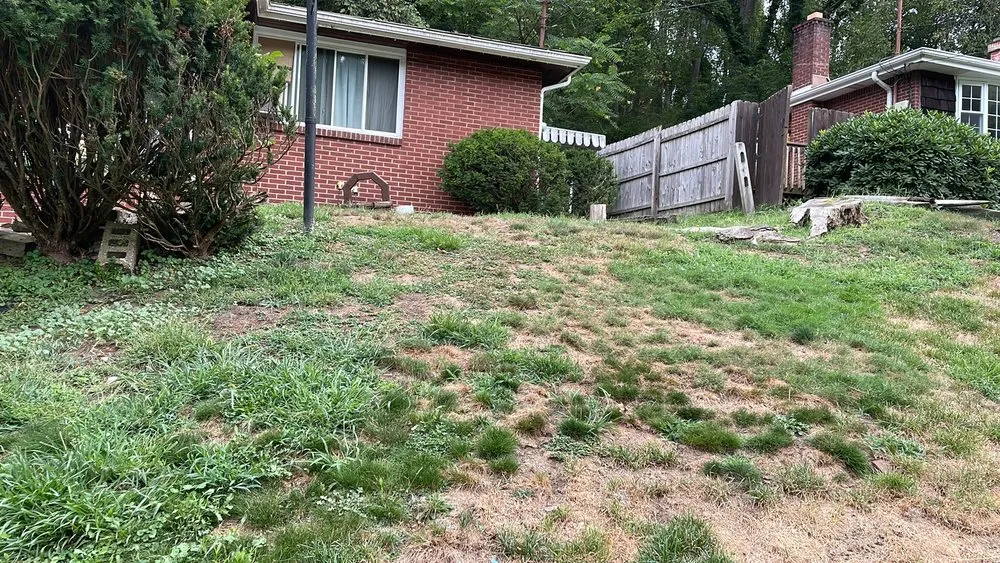 Local yard maintenance in Elizabeth, PA - Oats Family LawnCare