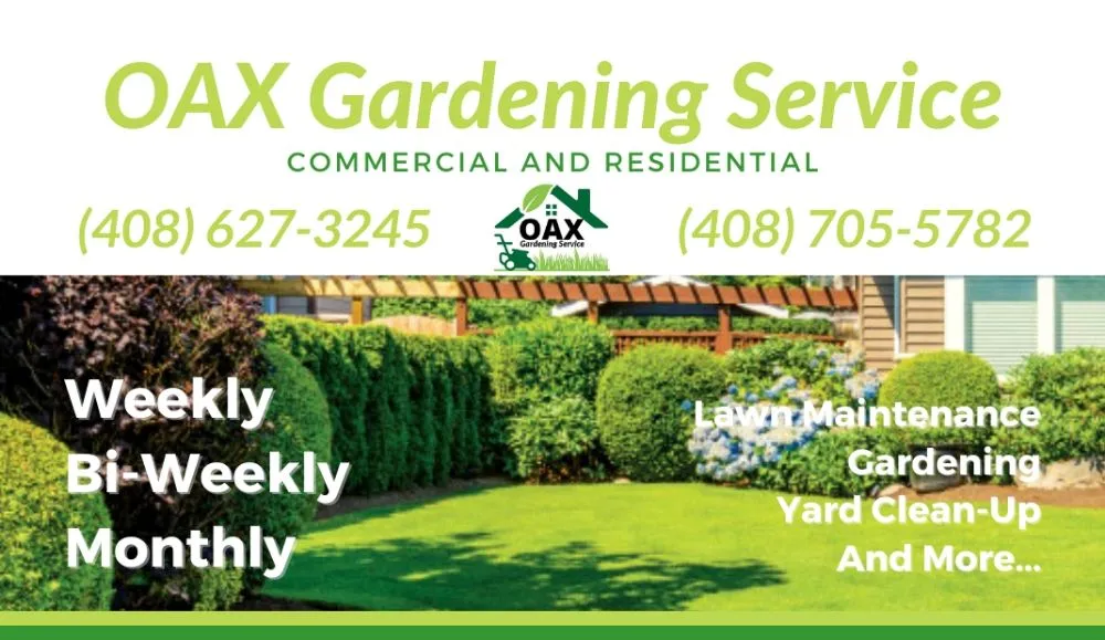 Professional lawn care service near you in San Jose, CA by Oax Gardening Service