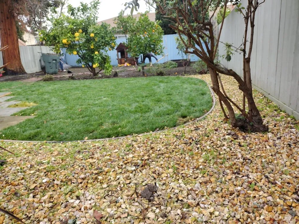 Affordable outdoor landscaping for residential properties in San Jose, CA by Oax Gardening Service
